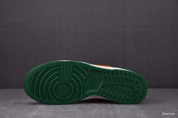 Low Miami Nike Dunk Hurricanes DD1391-300 0118